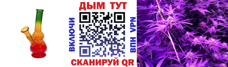 Шишки марихуана планчик  купить   гидра как зайти  Правдинск 