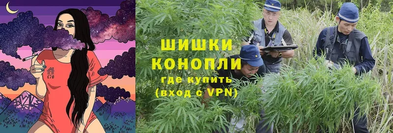 Марихуана OG Kush  как найти закладки  Правдинск 